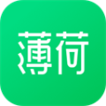 薄荷健康软件 安卓版v13.0.9